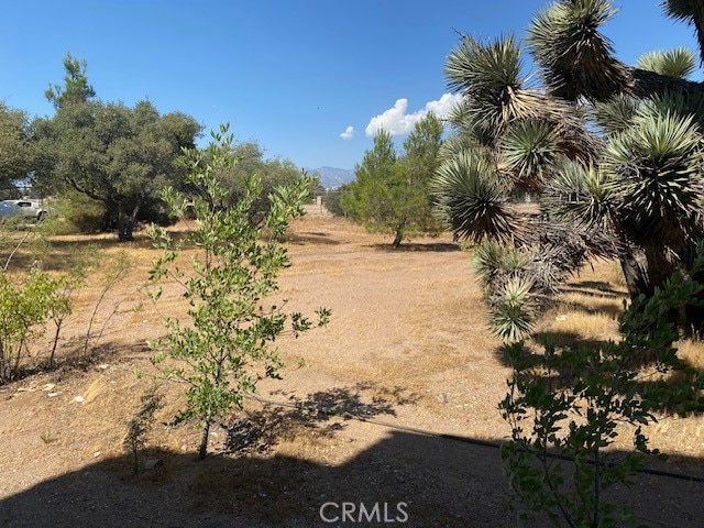 view of yard with a rural view