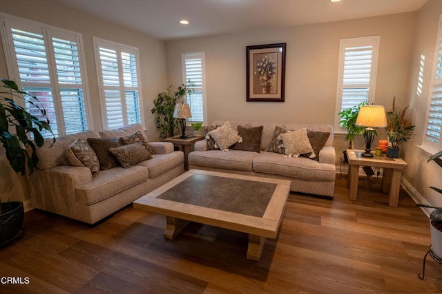 living room with wood-type flooring