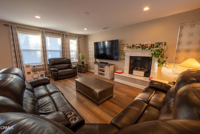 living room with wood-type flooring and a high end fireplace