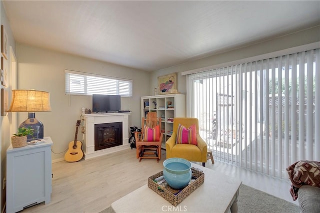 2650 Main St Unit 7, Cambria, CA 93428 - living area featuring a glass covered fireplace, wood finished floors, and baseboards