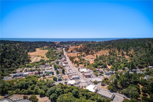 2650 Main St Unit 7, Cambria, CA 93428 - aerial view of a heavily wooded area
