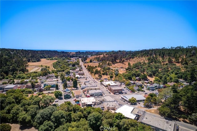 2650 Main St Unit 7, Cambria, CA 93428 - bird's eye view of a heavily wooded area