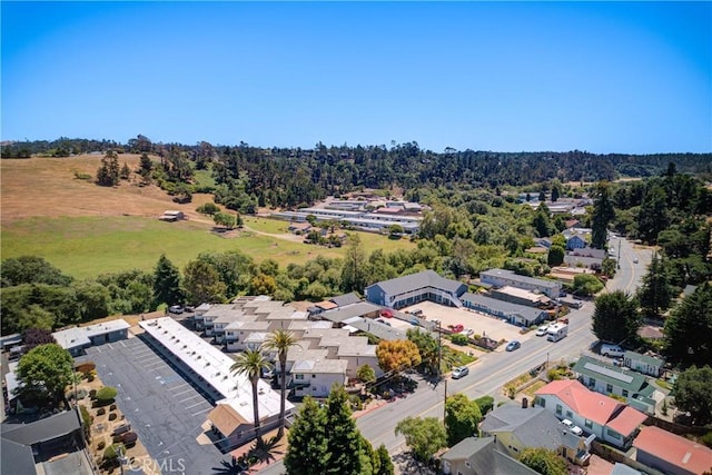 2650 Main St Unit 7, Cambria, CA 93428 - aerial view of a heavily wooded area