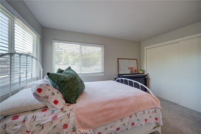 bedroom featuring multiple windows, a closet, and carpet flooring