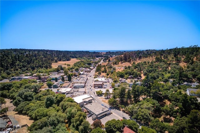 2650 Main St Unit 7, Cambria, CA 93428 - bird's eye view of a forest