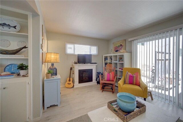 2650 Main St Unit 7, Cambria, CA 93428 - living area with a glass covered fireplace, wood finished floors, and baseboards