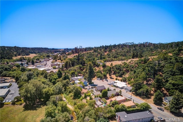 2650 Main St Unit 7, Cambria, CA 93428 - aerial view of a forest
