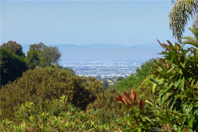 4347 Canyon View Ln, Palos Verdes Peninsula, CA 90274 - mountain view