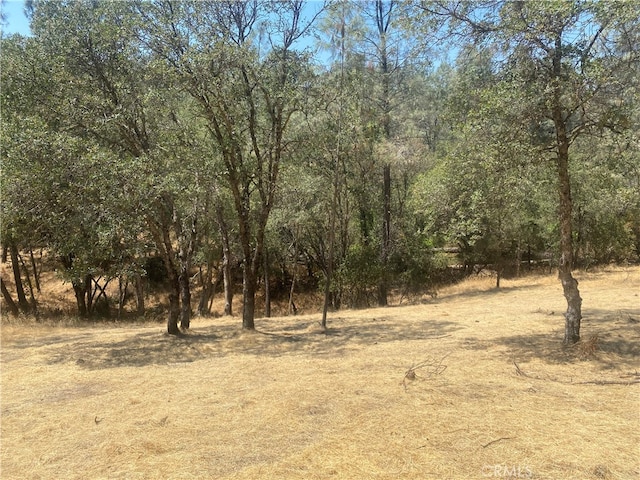 Listing photo 3 for 0 Lemon Hill Dr, Oroville CA 95966