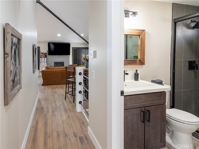 bathroom featuring a fireplace, an enclosed shower, hardwood / wood-style floors, toilet, and vanity