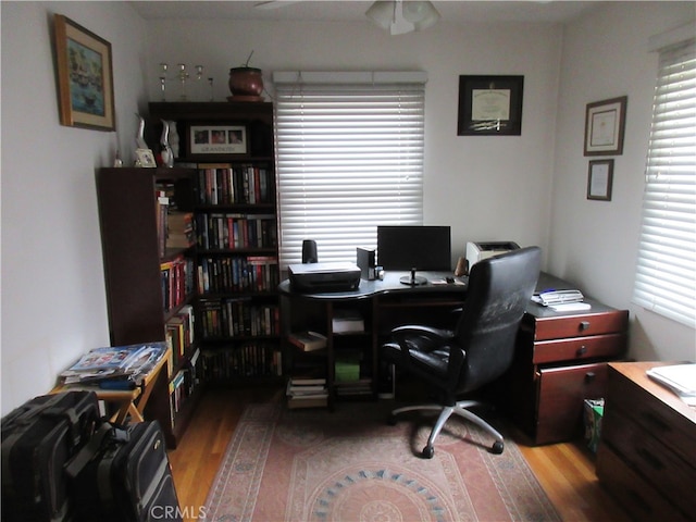 office area with ceiling fan and hardwood / wood-style flooring