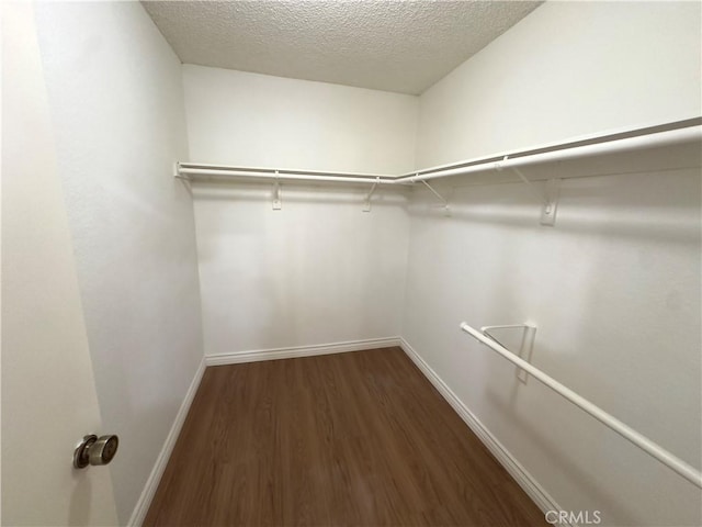 spacious closet featuring dark hardwood / wood-style floors