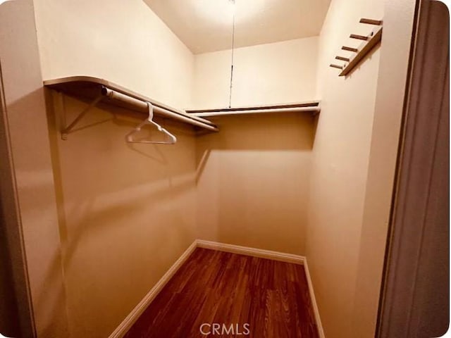 walk in closet featuring wood finished floors