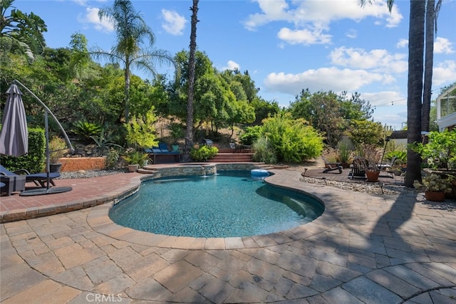 view of swimming pool with a patio area