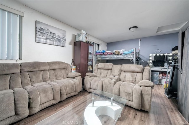 living room featuring hardwood / wood-style floors