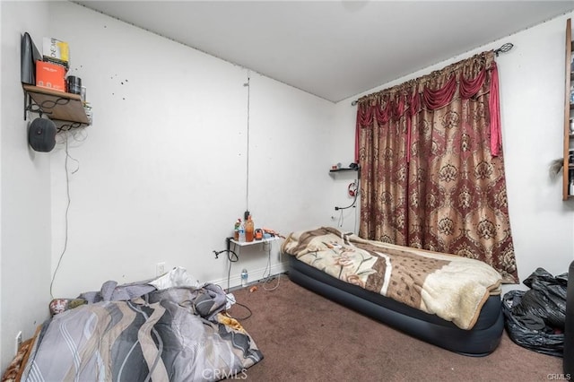 bedroom with carpet floors