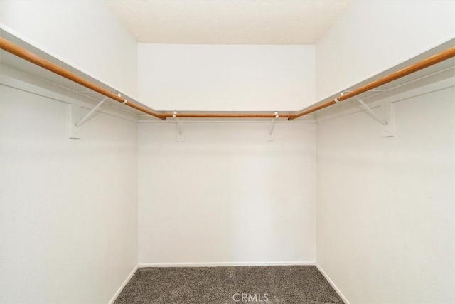 spacious closet with carpet flooring