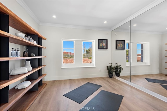 exercise area featuring light hardwood / wood-style flooring and ornamental molding