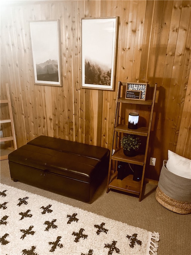 interior space with wood walls and carpet floors