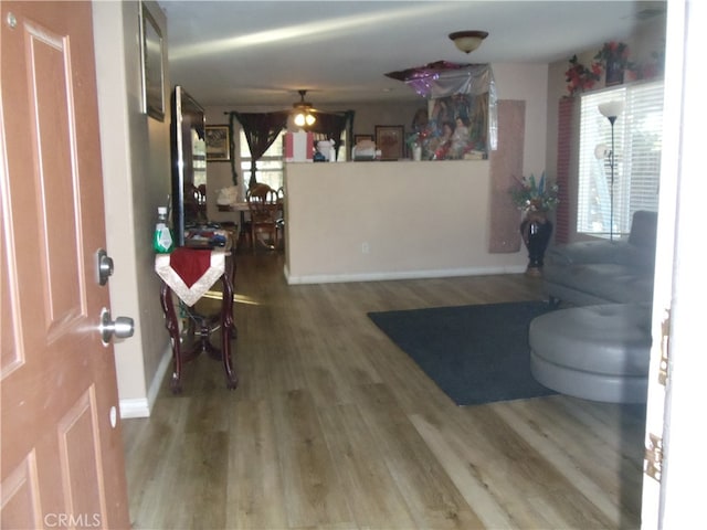 foyer entrance featuring a healthy amount of sunlight, hardwood / wood-style flooring, and ceiling fan