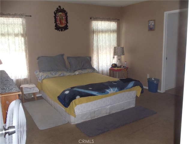 carpeted bedroom with multiple windows