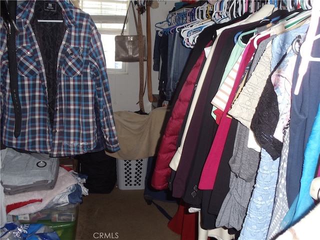 spacious closet with carpet