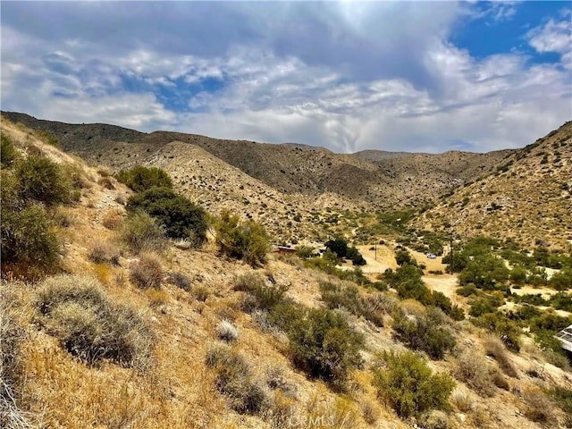 0 Pinon Ave, Morongo Valley, CA 92256 - photo 16