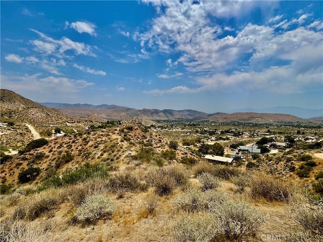 0 Pinon Ave, Morongo Valley, CA 92256 - photo 14