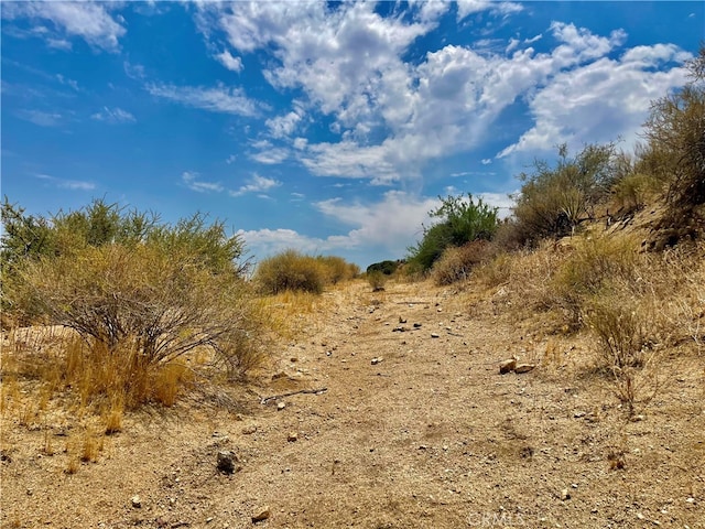 view of local wilderness