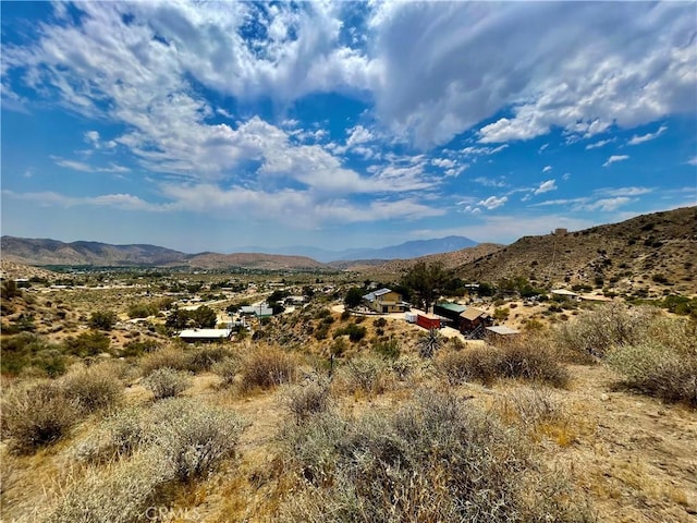 0 Pinon Ave, Morongo Valley, CA 92256 - photo 11