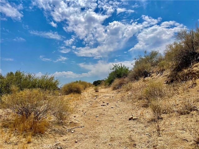 view of local wilderness