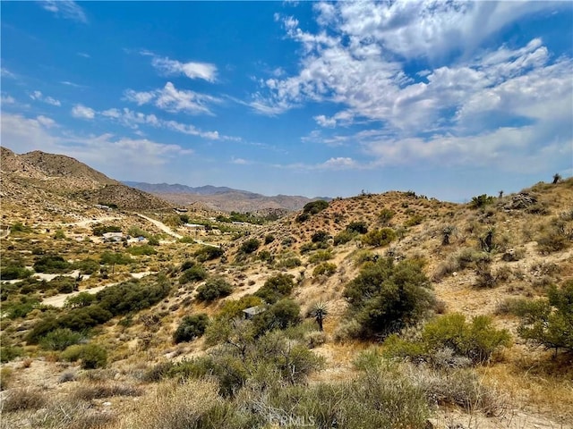 0 Pinon Ave, Morongo Valley, CA 92256 - photo 12