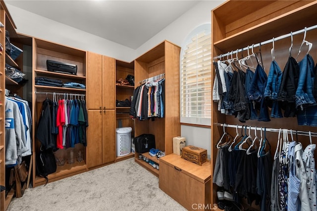 walk in closet with carpet flooring