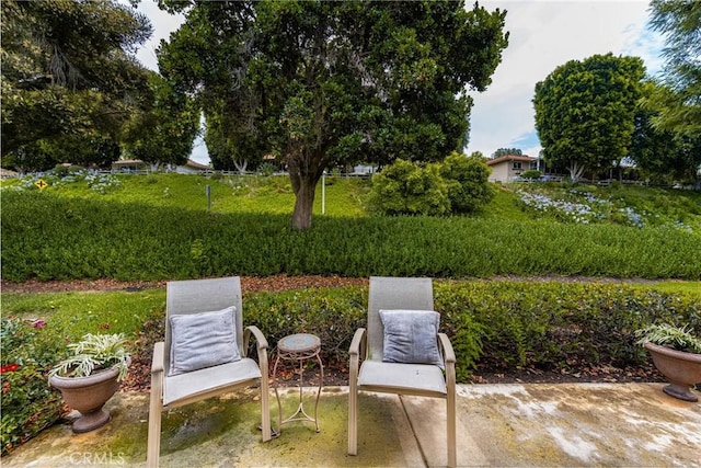 view of yard featuring a patio area