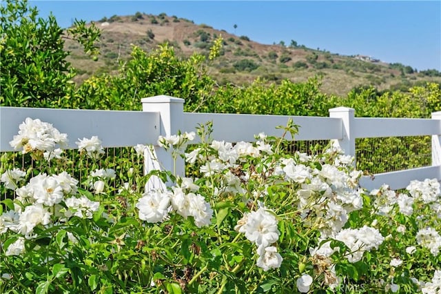 23505 Carancho Rd, Temecula, CA 92590 - photo 44