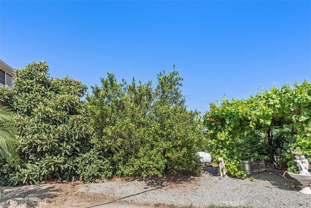 23505 Carancho Rd, Temecula, CA 92590 - photo 62
