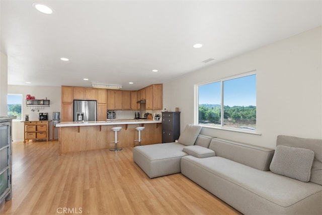 living room featuring light hardwood / wood-style floors