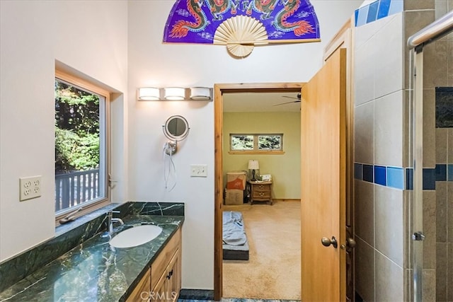 bathroom with vanity and walk in shower