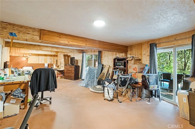 misc room with concrete floors, wood walls, and plenty of natural light