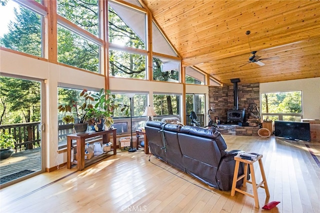 living room with light hardwood / wood-style floors, a wood stove, and a healthy amount of sunlight