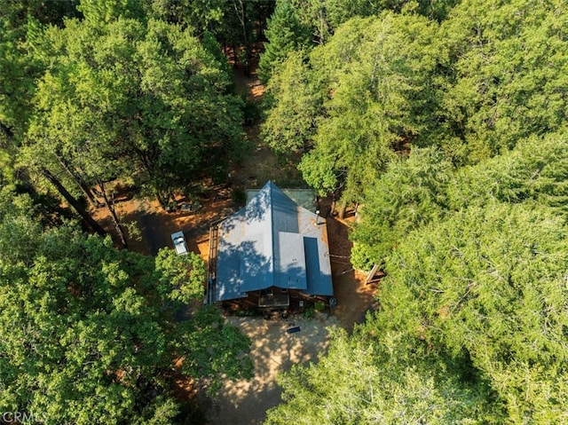 bird's eye view