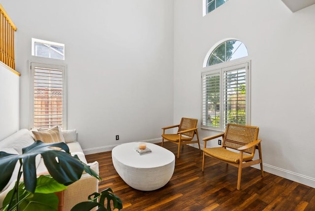 living area featuring a towering ceiling, dark hardwood / wood-style flooring, and plenty of natural light