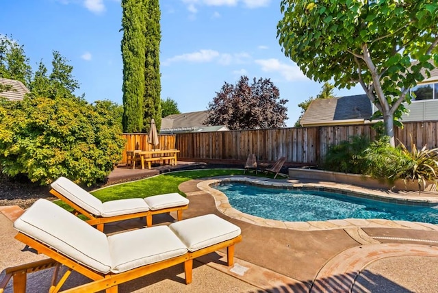 view of swimming pool with a patio