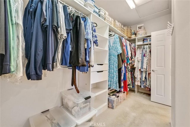 spacious closet featuring light carpet