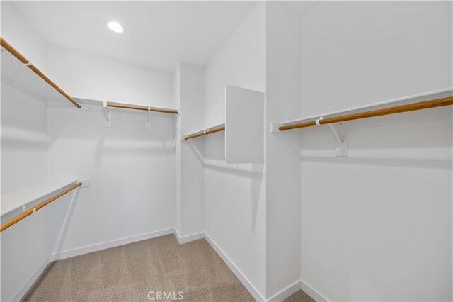 spacious closet featuring light carpet