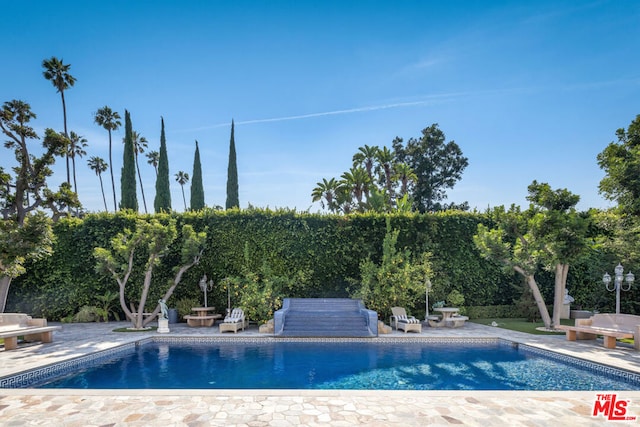 view of swimming pool with a patio area