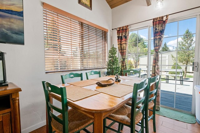 dining room with hardwood / wood-style floors