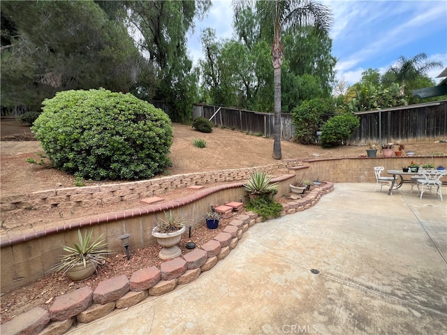 view of yard with a patio area