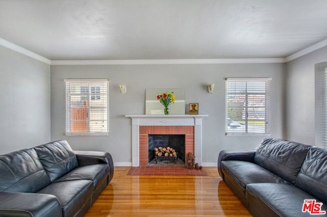 living room featuring crown molding, a fireplace, and light wood-type flooring