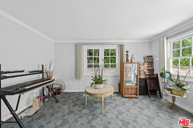 carpeted home office featuring ornamental molding